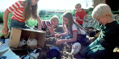 type="image/jpeg" width="400" height="200" Image